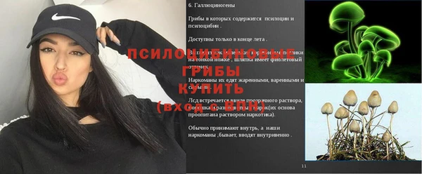 дживик Богданович