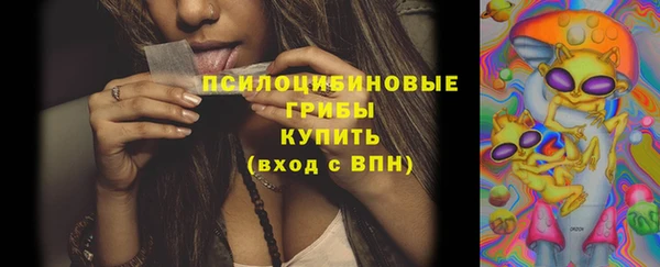 спиды Богородицк