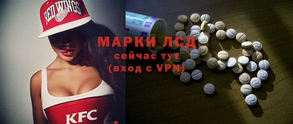 спиды Богородицк