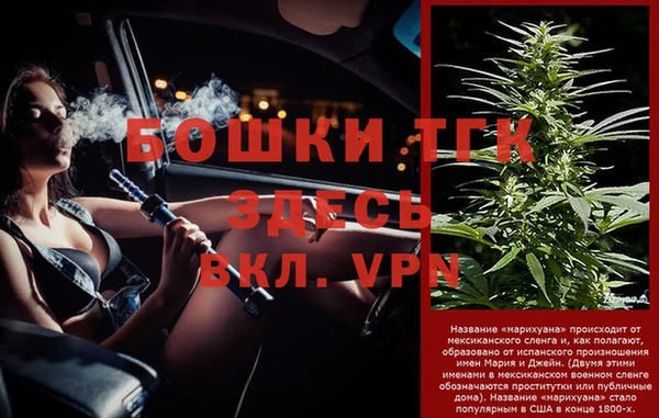 тгк Бородино