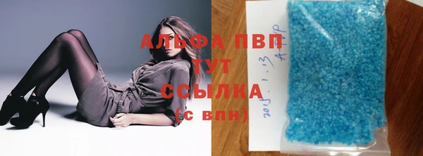 тгк Бородино
