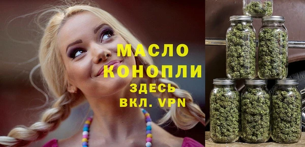 спиды Богородицк