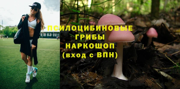 прущая мука Бронницы