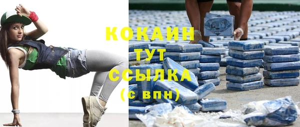 тгк Бородино