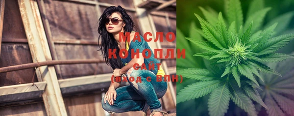 молекула духа Богородск